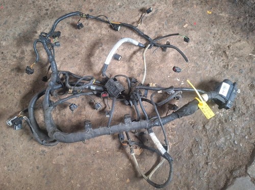 Engine management wiring loom - engine,
