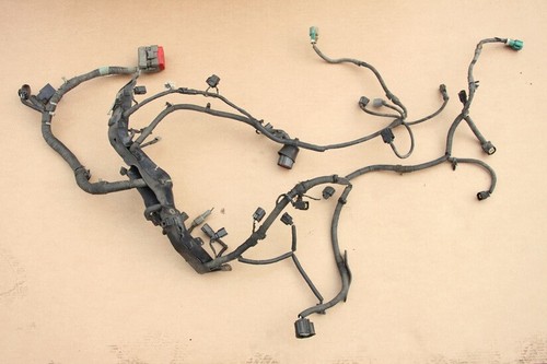 Engine wiring loom - engine,