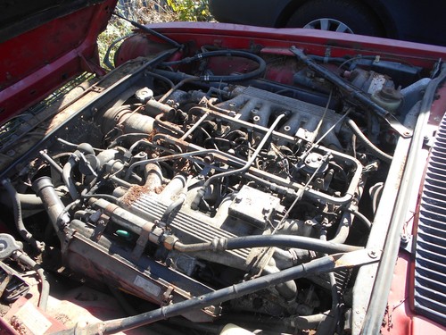 Jaguar xjs xj12 series v12 - jaguar,