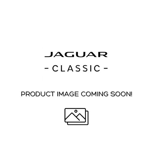 Jaguar genuine oil filter - oil,